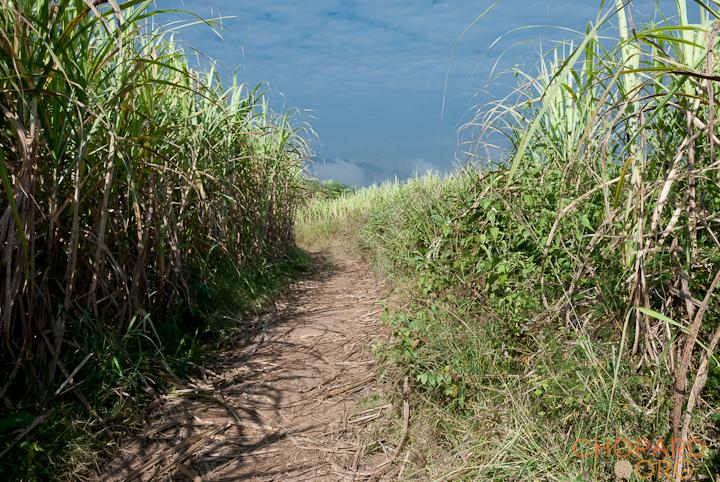 DSC_0230.jpg DSC_0230.jpg