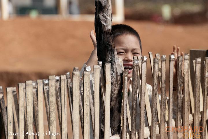 DSC_0241.jpg DSC_0241.jpg