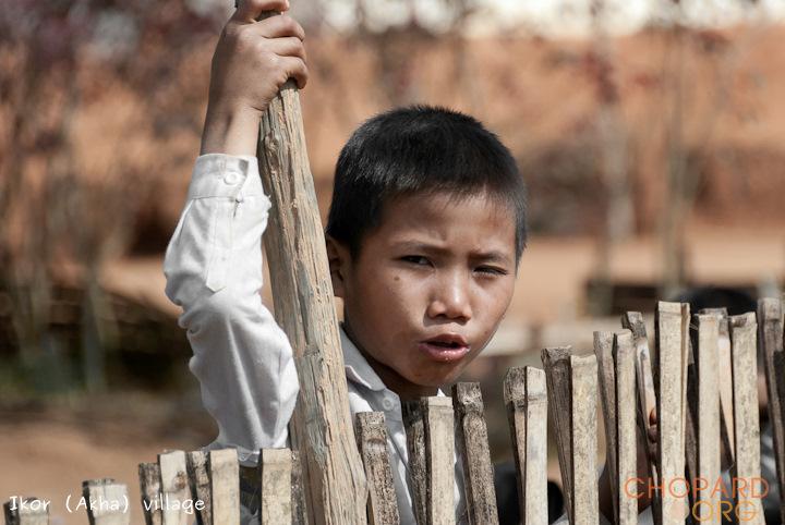 DSC_0242.jpg DSC_0242.jpg