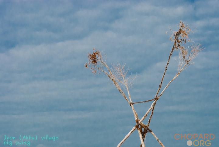 DSC_0252.jpg DSC_0252.jpg