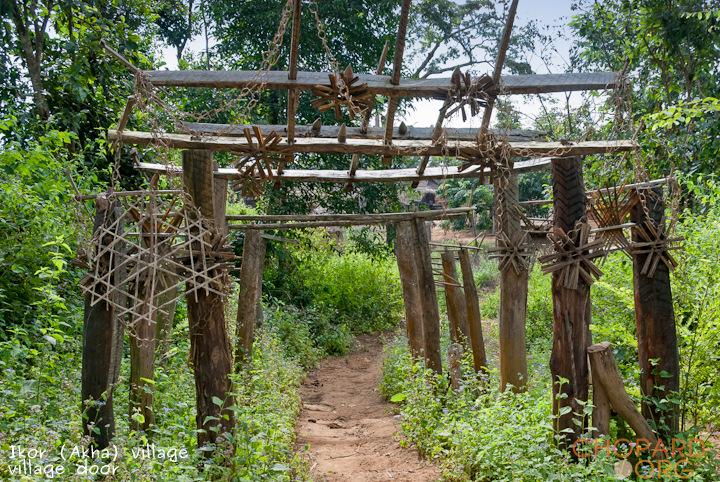 DSC_0268-Edit.jpg DSC_0268-Edit.jpg