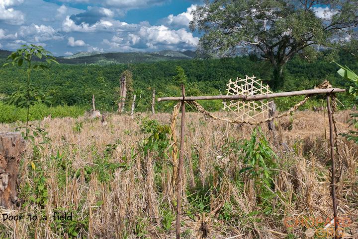 DSC_0329.jpg DSC_0329.jpg