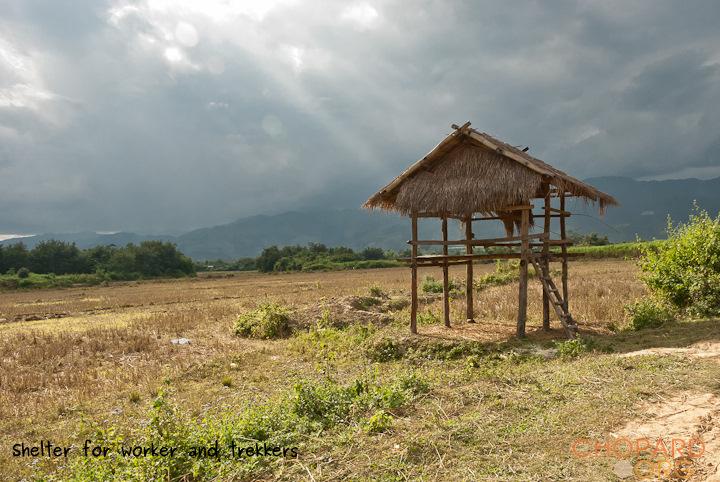 DSC_0375.jpg DSC_0375.jpg