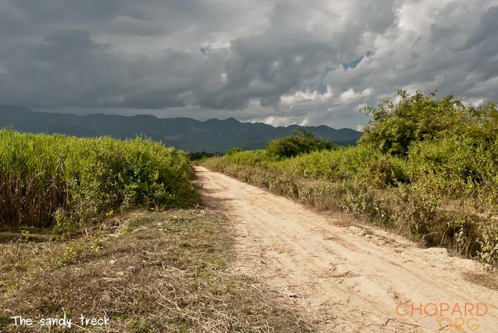 DSC_0376.jpg DSC_0376.jpg