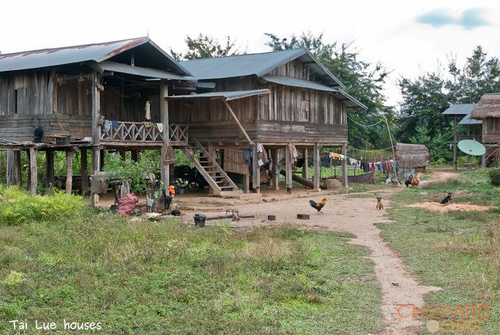 DSC_0382-Edit.jpg DSC_0382-Edit.jpg