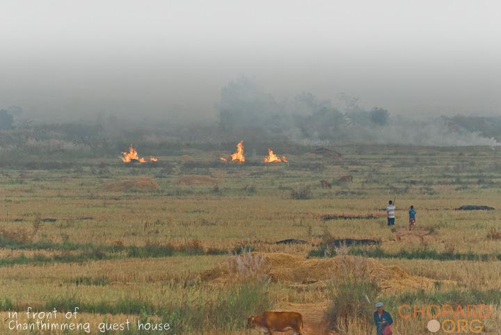 DSC_0393-Edit.jpg DSC_0393-Edit.jpg