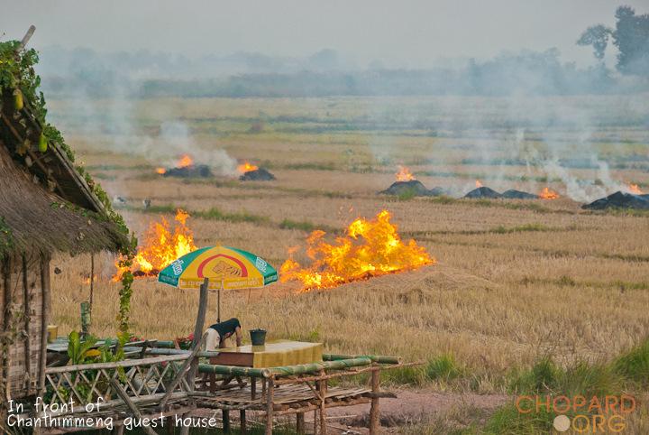 DSC_0399.jpg DSC_0399.jpg