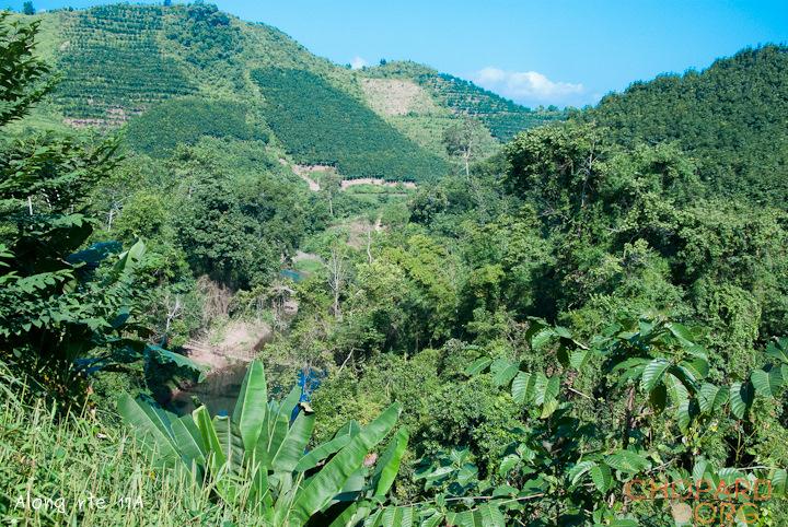 DSC_0418.jpg DSC_0418.jpg