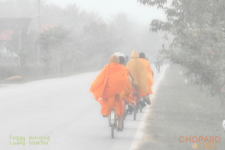 DSC_0455-Edit.jpg DSC_0455-Edit.jpg