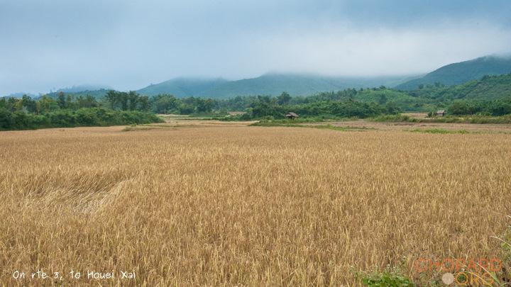 DSC_0457.jpg DSC_0457.jpg