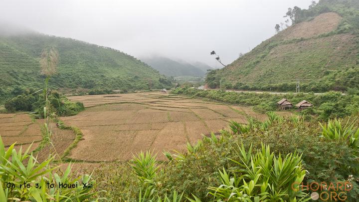 DSC_0461.jpg DSC_0461.jpg