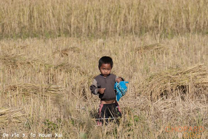 DSC_0520.jpg DSC_0520.jpg