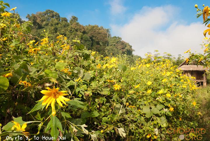 DSC_0535.jpg DSC_0535.jpg