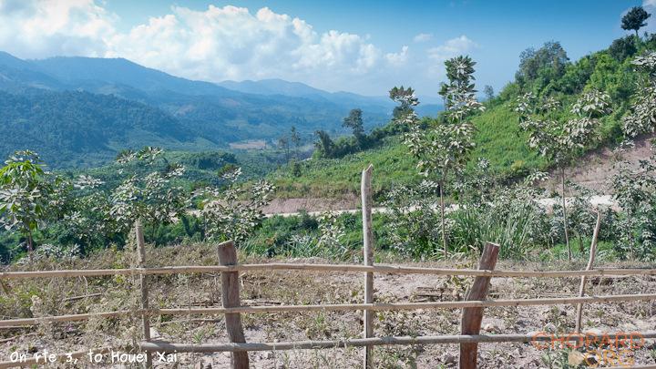 DSC_0585.jpg DSC_0585.jpg