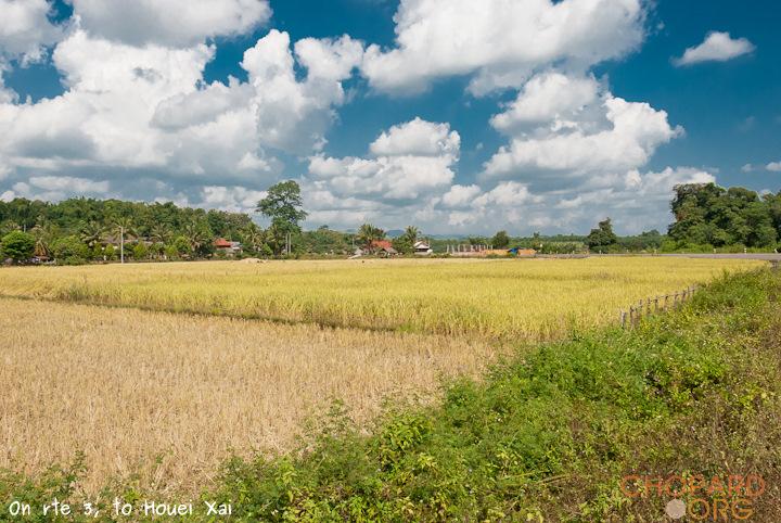 DSC_0595.jpg DSC_0595.jpg