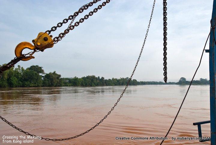 DSC_7854.jpg DSC_7854.jpg