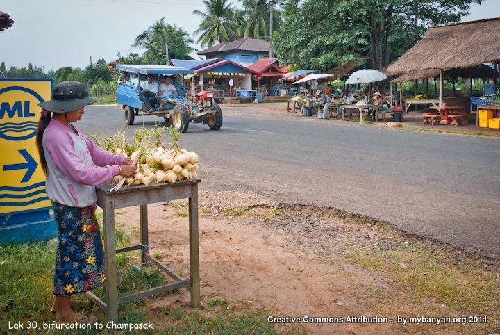 DSC_7863.jpg DSC_7863.jpg