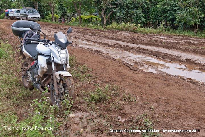 DSC_7864.jpg DSC_7864.jpg