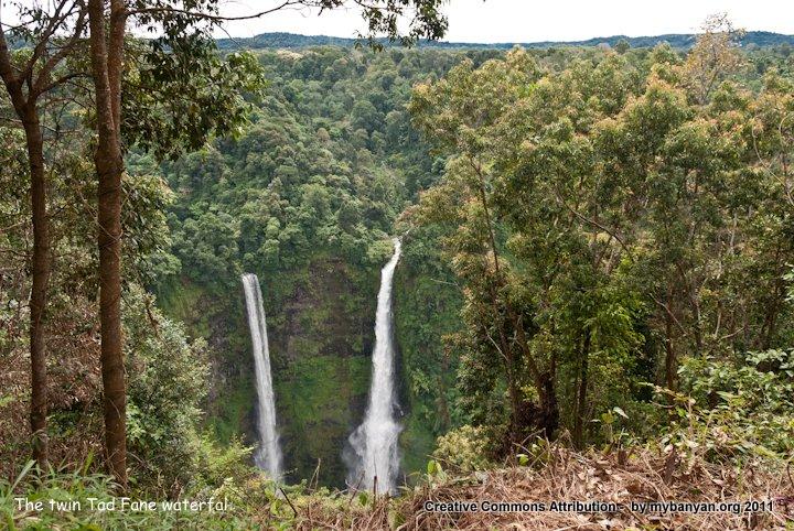 DSC_7873.jpg DSC_7873.jpg