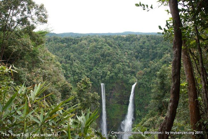 DSC_7882.jpg DSC_7882.jpg