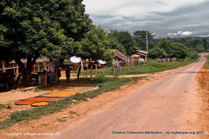 DSC_7897.jpg DSC_7897.jpg