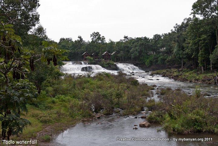 DSC_7899.jpg DSC_7899.jpg