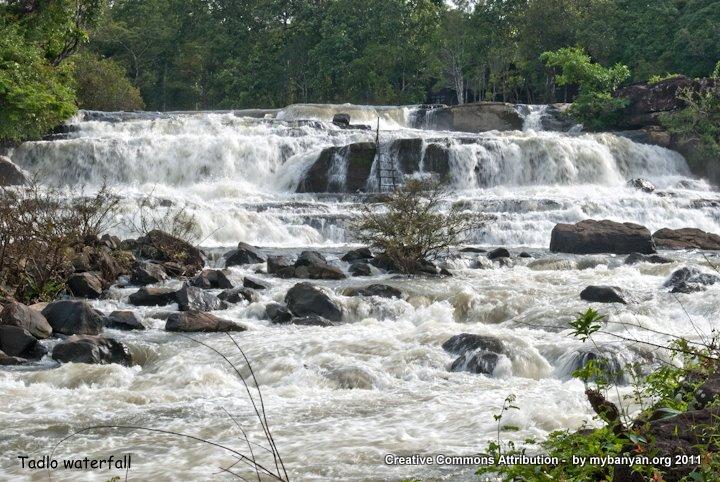 DSC_7931.jpg DSC_7931.jpg