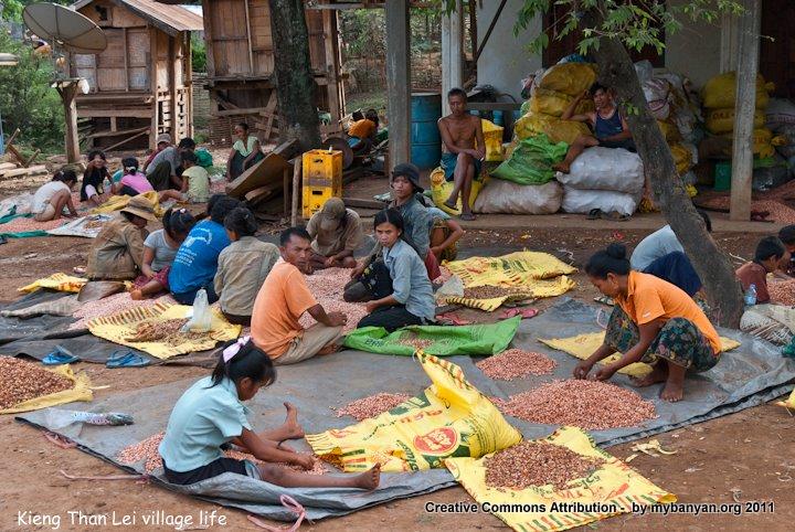 DSC_7957.jpg DSC_7957.jpg