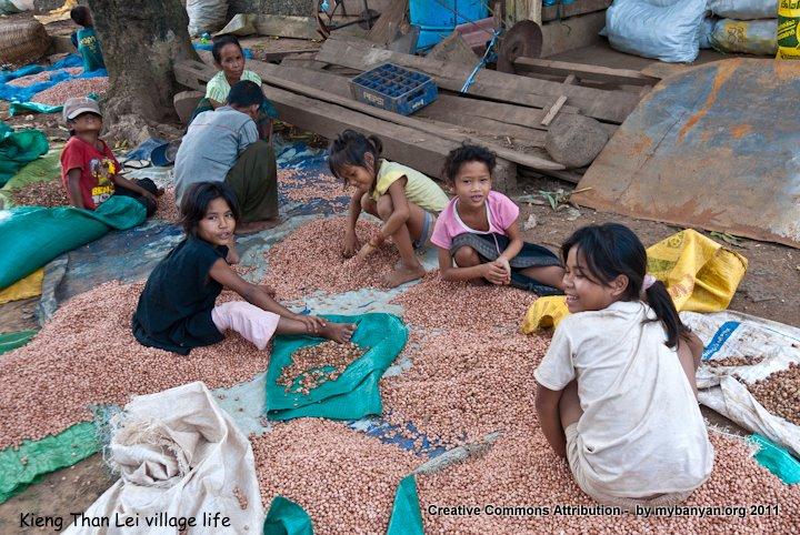 DSC_7958.jpg DSC_7958.jpg