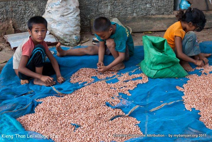 DSC_7960.jpg DSC_7960.jpg