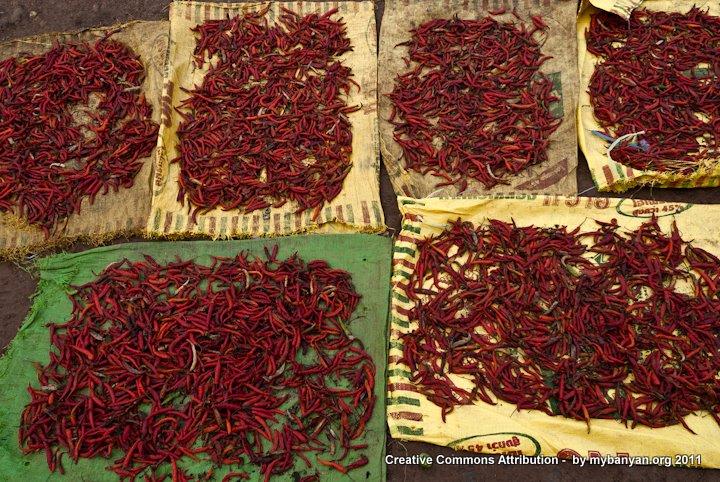 DSC_7963.jpg DSC_7963.jpg