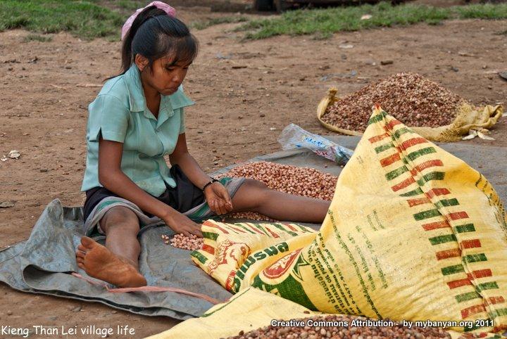 DSC_7965.jpg DSC_7965.jpg