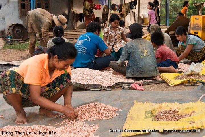 DSC_7966.jpg DSC_7966.jpg