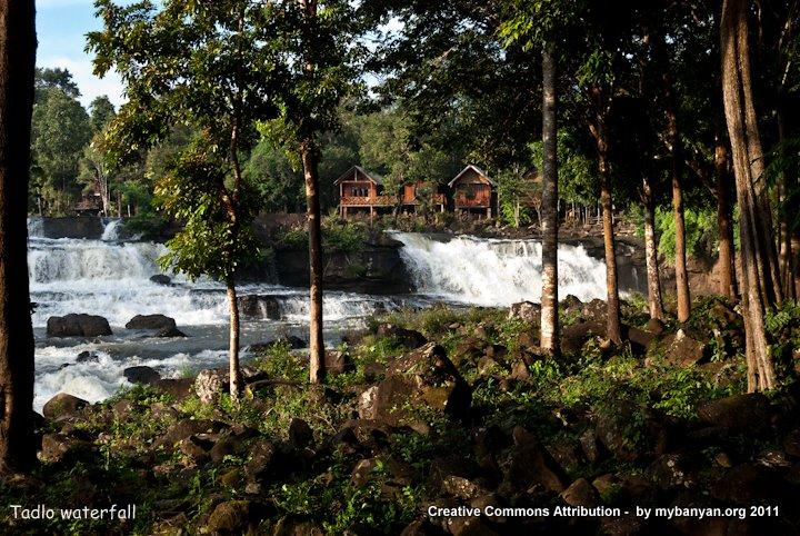 DSC_7986.jpg DSC_7986.jpg