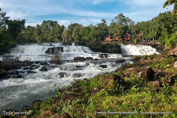 DSC_7989.jpg DSC_7989.jpg