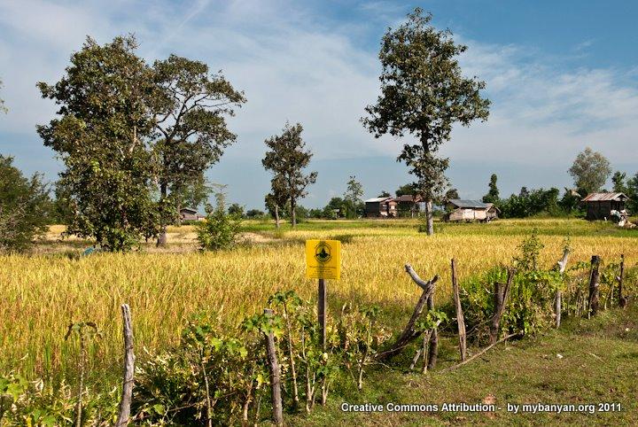 DSC_8010.jpg DSC_8010.jpg