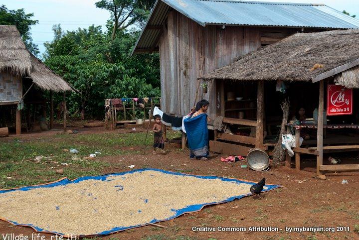 DSC_8022.jpg DSC_8022.jpg