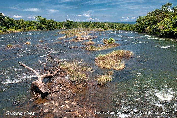 DSC_8053.jpg DSC_8053.jpg