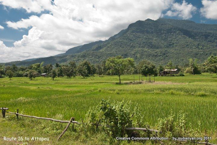 DSC_8061.jpg DSC_8061.jpg