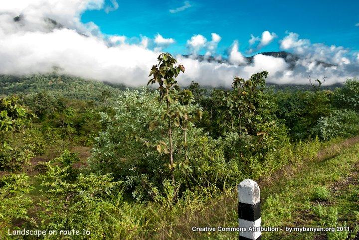 DSC_8138.jpg DSC_8138.jpg