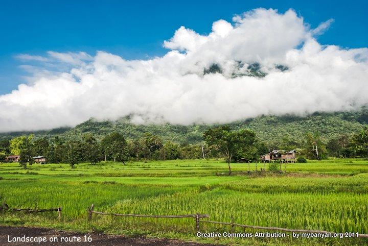 DSC_8139.jpg DSC_8139.jpg