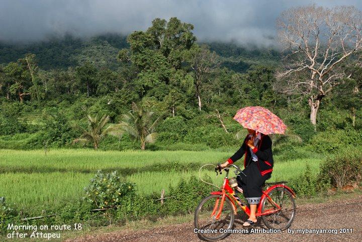 DSC_8151.jpg DSC_8151.jpg