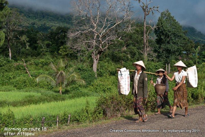 DSC_8156.jpg DSC_8156.jpg