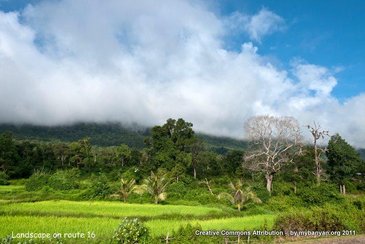 DSC_8157.jpg DSC_8157.jpg