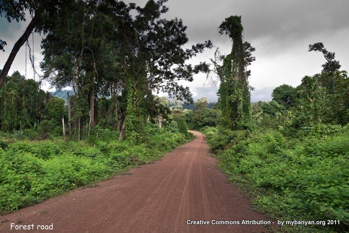 DSC_8166.jpg DSC_8166.jpg