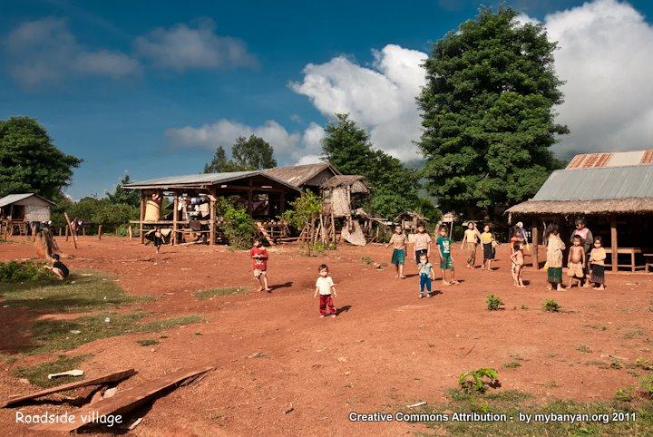 DSC_8175.jpg DSC_8175.jpg