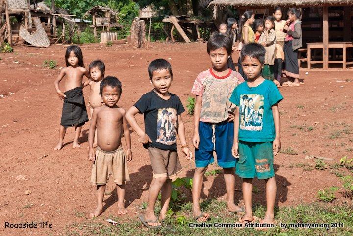 DSC_8178.jpg DSC_8178.jpg