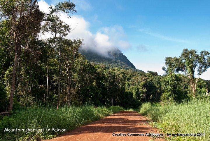 DSC_8181.jpg DSC_8181.jpg