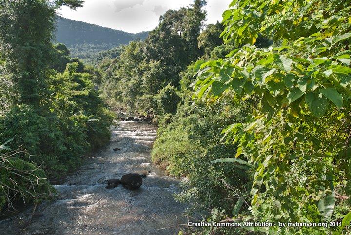 DSC_8185.jpg DSC_8185.jpg