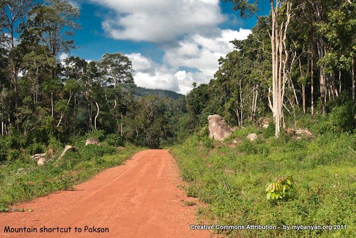 DSC_8197.jpg DSC_8197.jpg